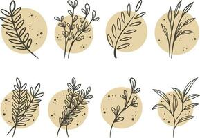 Set of hand drawn herbs. Vector illustration in doodle style.