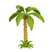 3D Cute cartoon tropical palm tree. Realistic jungle tree on white background. Summertime object. Vector illustration