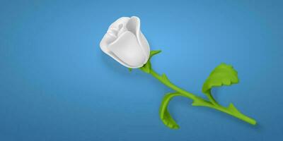 3D flower. Cute white rose in cartoon style for bouquet or decoration. Vector illustration