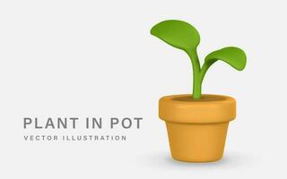 3d realistic cute green plant in pot in cartoon style isolated on light background. Vector illustration