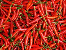 cooking pepper For a good flavor condiment, bright red, vegetarian. photo