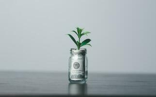 The money coin or money tree is a business growth. The business plant on coins growing with a hand pointing at money on the table. The green environment background business success in economic symbol. photo