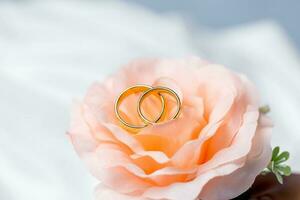 Golden wedding rings for engagement. Marriage golden rings with white, pink ribbons background. Rings on the white and red rose. The marriage rings is the symbol of traditional wedding of pair lovers. photo