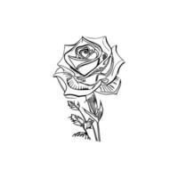 Beautiful Hand drawn flower rose sketch vector