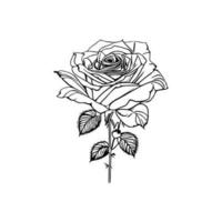 Beautiful Hand drawn flower rose sketch vector