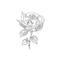 Beautiful Hand drawn flower rose sketch vector