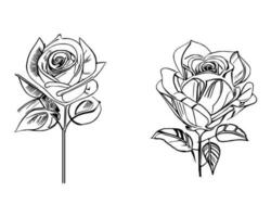 Beautiful Hand drawn flower Roses vector