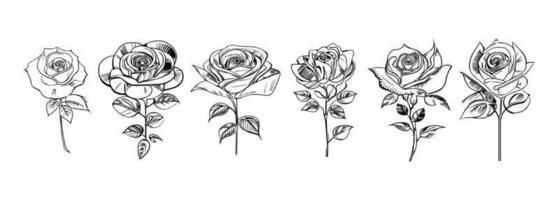 Roses set line art vector