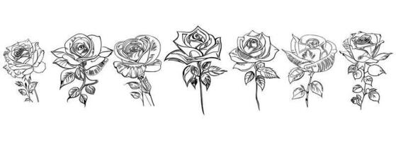rosas conjunto línea Arte vector