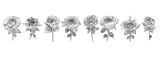rosas conjunto línea Arte vector
