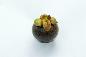 One mangosteen fruit on a white background photo