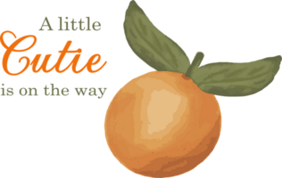 Little Cutie Citrus Themed Orange Baby Shower Illustration with fruit for summer party. Use it also for banners, thank you cards, posters and other decor for your celebration png