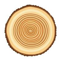 Tree trunk wood ring. Tree trunk cross section. wood slice cut isolated on white background. vector