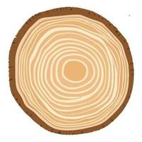 Tree trunk wood ring. Tree trunk cross section. wood slice cut isolated on white background. vector