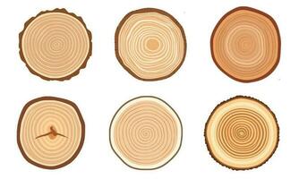 Tree trunk wood rings. Wooden elements with tree rings. wood slice cut collection vector