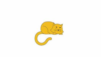 Cute sleeping cat with eyebrows line 2D character animation. Adorable pet wagging tail in sleep flat linear cartoon 4K video, alpha channel. Relaxed cat. Rest animated animal on white background video