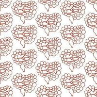 A pattern of large and small intestines in a linear style. A repeating pattern with lines of the colon and small intestine. Health, medicine, internal organs. The structure of healthy organs vector