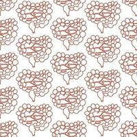 A pattern of large and small intestines in a linear style. A repeating pattern with lines of the colon and small intestine. Health, medicine, internal organs. The structure of healthy organs vector