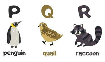 English alphabet with a set of vector illustrations of cute animals. A group of isolated uppercase letters with animals. Children's font for children ABC book symbols pack. Penguin, quail, raccoon