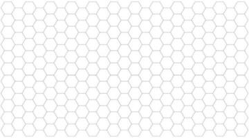 Hexagon pattern background. Vector design