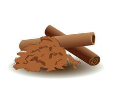 Vector cinnamon sticks and powder isolated on the white background