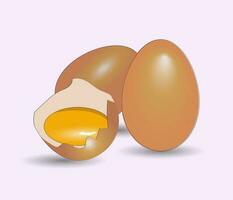 Eggs on white background, half a raw egg, isolated, realistic vector illustration