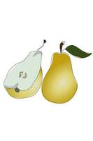 Fresh yellow pear with green leaf, half a pear. Pear fruit isolated on a white background vector