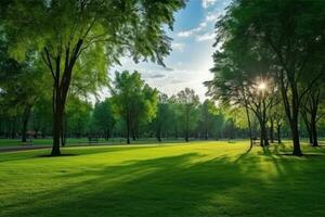 Beautiful park scene in public park with green grass field photo