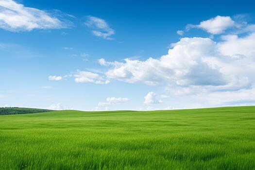 Farm field with clouds photo