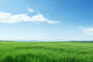 Farm field with clouds photo