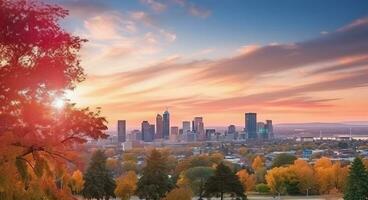 The city skyline at sunset and trees photo