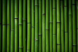 Bamboo texture background photo