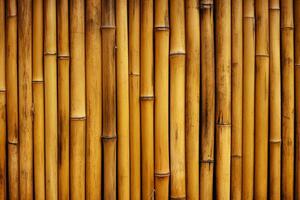 Bamboo texture background photo