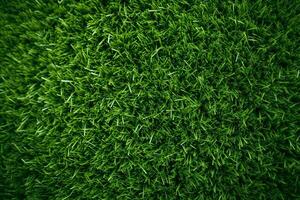 texture grass field photo