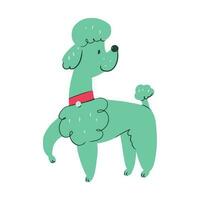 dibujos animados vector perro caniche aislado en blanco antecedentes. clipart para para niños libro, huellas dactilares, guardería, libros, pegatinas