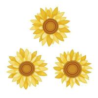 Sunflowers vector illustration isolated on white background