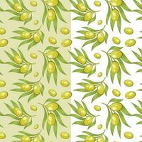 Olive braches seamless pattern botanical background vector