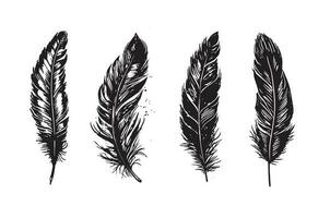 Hand drawn feather on white background vector