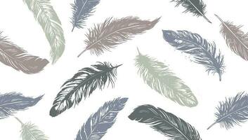 Hand drawn feather on white background vector