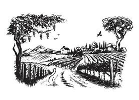 vino plantaciones mano dibujado, vector