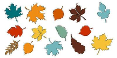 Set of autumn leaves in flat style. Colorful leaves. Vector illustration.