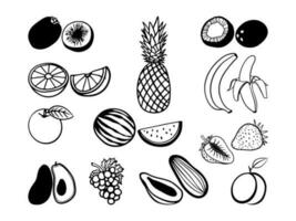 fruits in doodle style, stroked fruits set, vector illustration