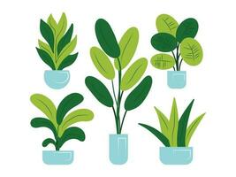 indoor plants, flowerpots in pots, plant set vector