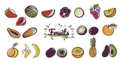 frutas, Fruta conjunto en vector estilo, minimalismo