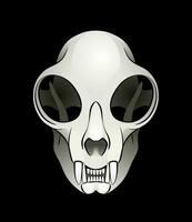 Cat's Skull. Vector illustration of a domestic cat's skull on a black background.