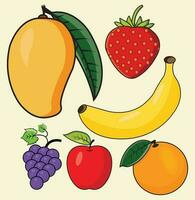 Colorful Fruit Vector Set Mango, Strawberry, Banana, Grape, Orange, and Apple Art Collection set