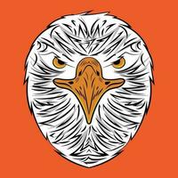 Colorful Eagle Vector Illustration on White Background Royalty Free Art Design