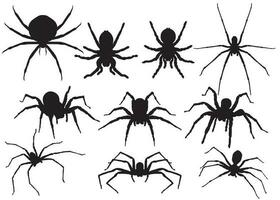 Halloween Spiders vector