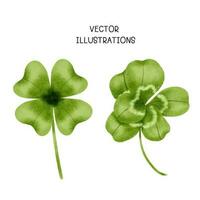 Cartoon Green Lucky Four Leaf Irish Clover for St. Patrick's Day photo