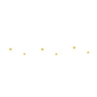 Doodle Flower and Leaves hand drawn png